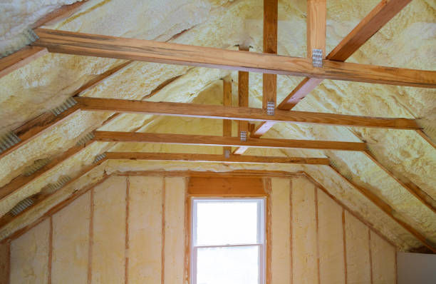 Best Energy-efficient Insulation  in Tomah, WI