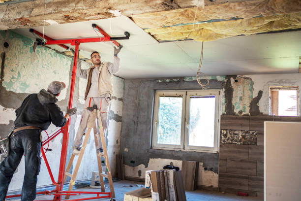 Best Attic Insulation Installation  in Tomah, WI