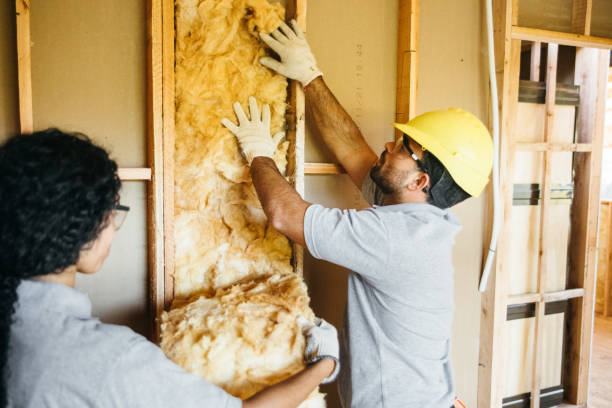 Best Best Insulation Companies  in Tomah, WI