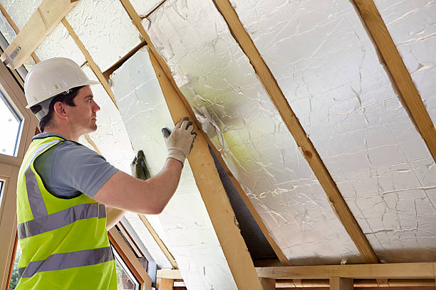 Best Cellulose Insulation  in Tomah, WI
