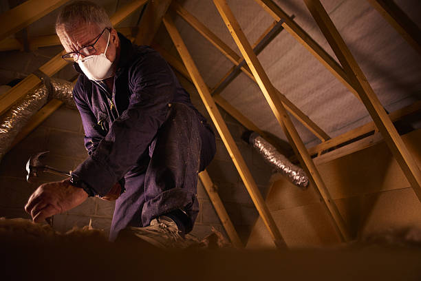 Best Insulation Contractors for Homes  in Tomah, WI
