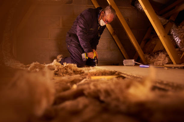 Best Home Insulation Services  in Tomah, WI